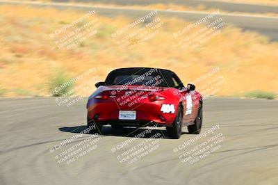 media/Sep-08-2024-VIP Trackdays (Sun) [[e20bd699b9]]/B Group/Session 2-Turns 4 and 6/